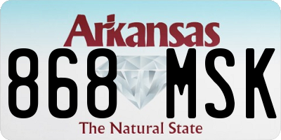 AR license plate 868MSK
