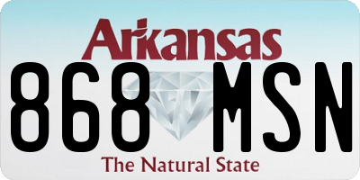 AR license plate 868MSN