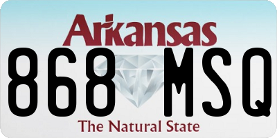 AR license plate 868MSQ