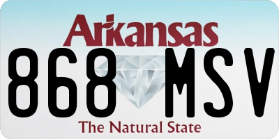 AR license plate 868MSV