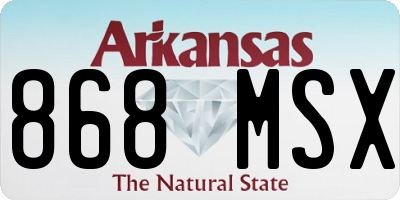 AR license plate 868MSX