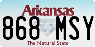 AR license plate 868MSY