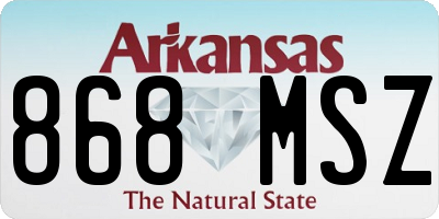 AR license plate 868MSZ