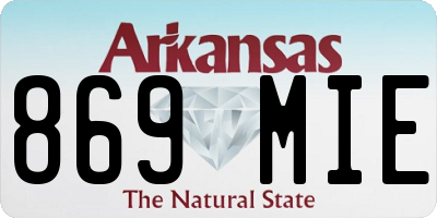 AR license plate 869MIE