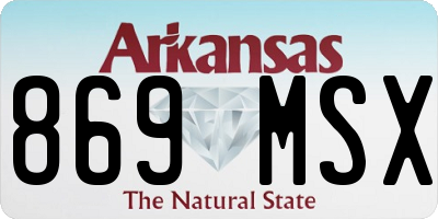 AR license plate 869MSX