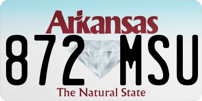 AR license plate 872MSU