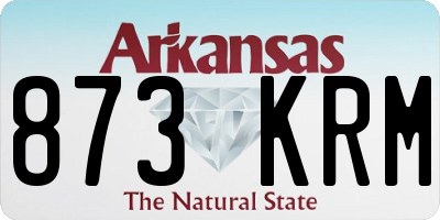 AR license plate 873KRM