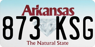 AR license plate 873KSG
