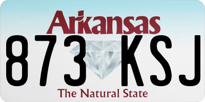 AR license plate 873KSJ