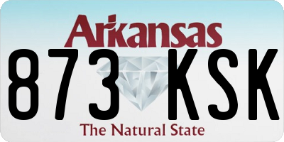 AR license plate 873KSK