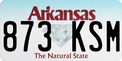 AR license plate 873KSM