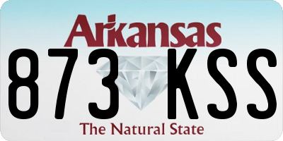 AR license plate 873KSS