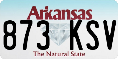 AR license plate 873KSV