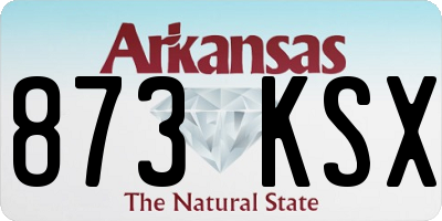 AR license plate 873KSX