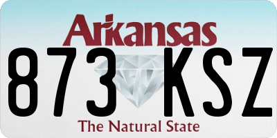 AR license plate 873KSZ