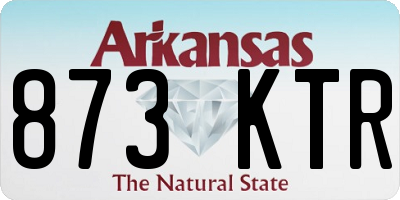 AR license plate 873KTR