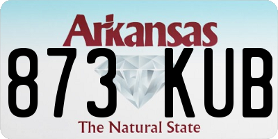 AR license plate 873KUB