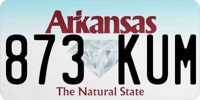 AR license plate 873KUM