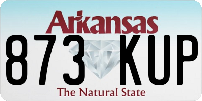 AR license plate 873KUP