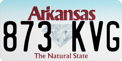 AR license plate 873KVG