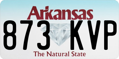 AR license plate 873KVP