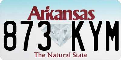 AR license plate 873KYM