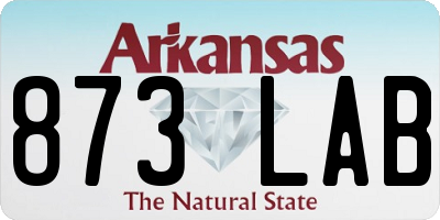 AR license plate 873LAB