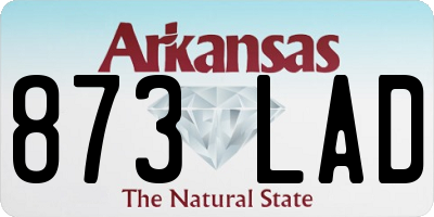 AR license plate 873LAD