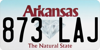 AR license plate 873LAJ