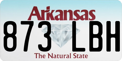 AR license plate 873LBH