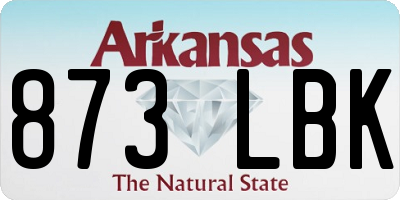 AR license plate 873LBK