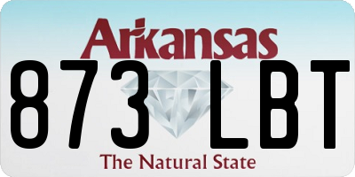 AR license plate 873LBT