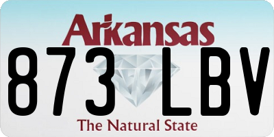 AR license plate 873LBV