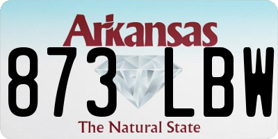 AR license plate 873LBW