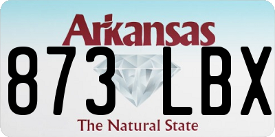 AR license plate 873LBX