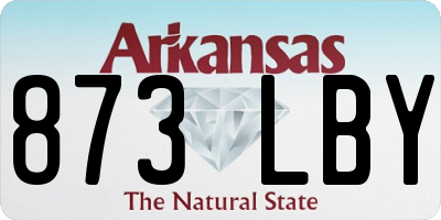 AR license plate 873LBY