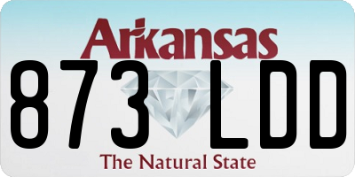 AR license plate 873LDD