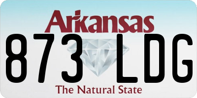 AR license plate 873LDG