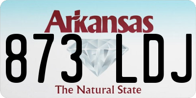 AR license plate 873LDJ