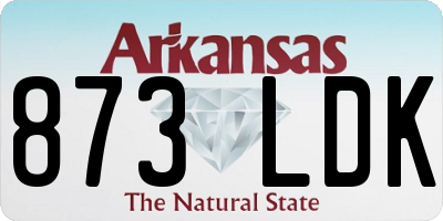 AR license plate 873LDK