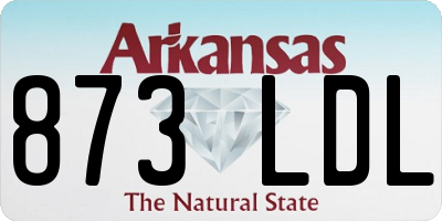 AR license plate 873LDL