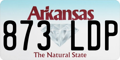 AR license plate 873LDP