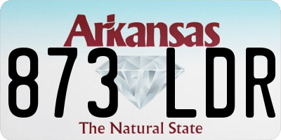 AR license plate 873LDR