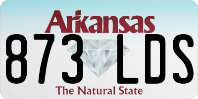 AR license plate 873LDS