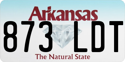 AR license plate 873LDT