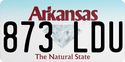 AR license plate 873LDU