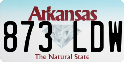 AR license plate 873LDW