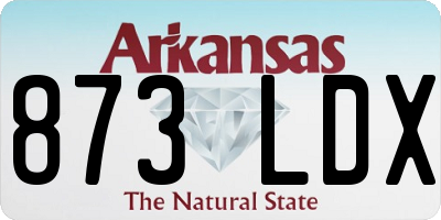 AR license plate 873LDX
