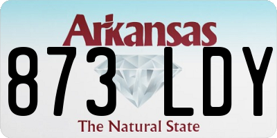 AR license plate 873LDY