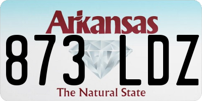 AR license plate 873LDZ